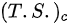 {\displaystyle (T.S.)_{c}}