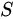 {\displaystyle S}